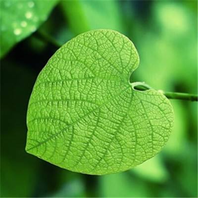 地狱竞技场中文版下载
