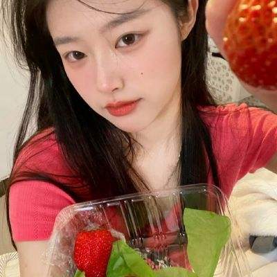 代号bxmh手游下载